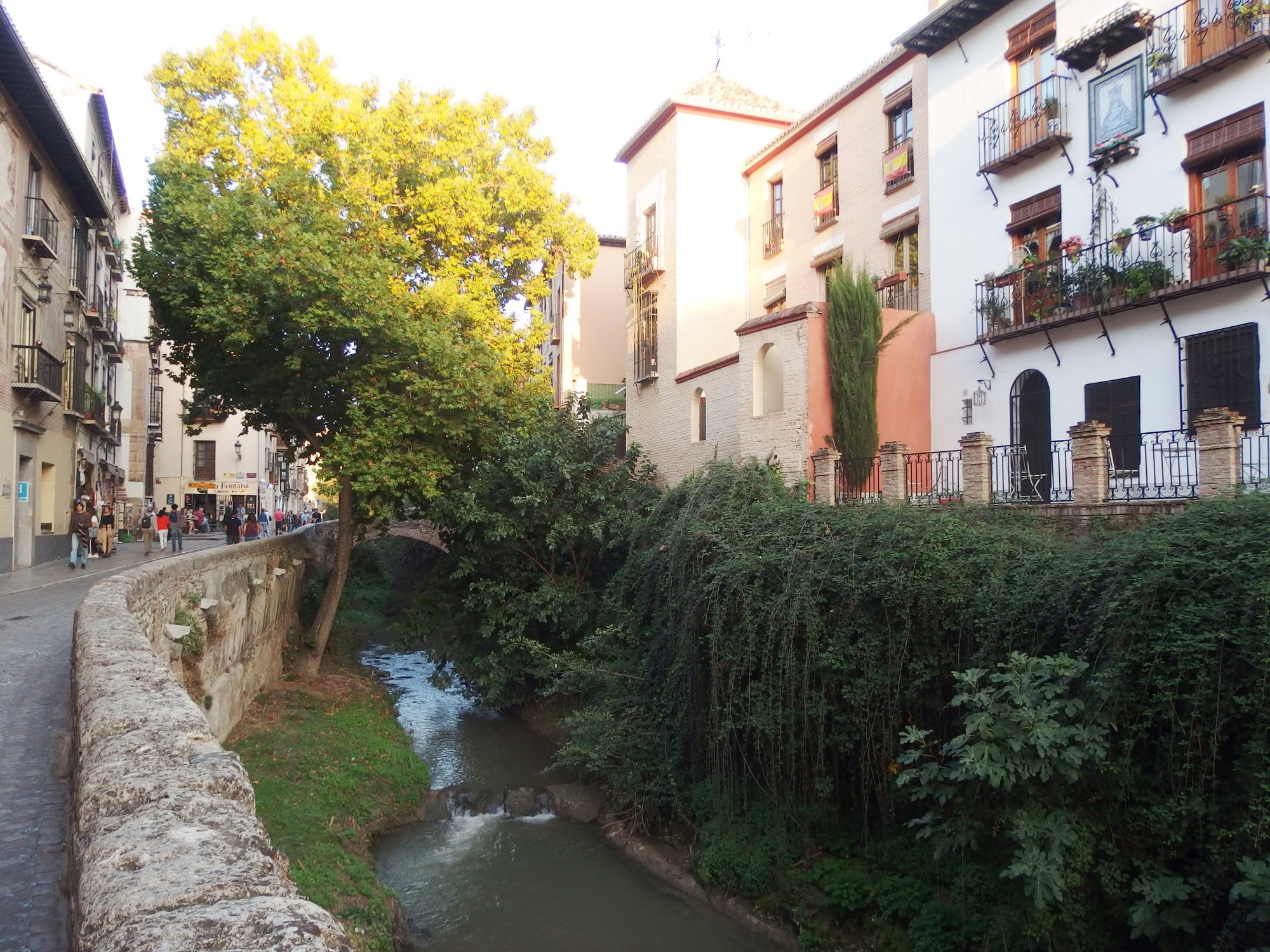 Carrera del Darro in Granada: a stone parapet above the Darro stream, autumn trees and old houses with balconies