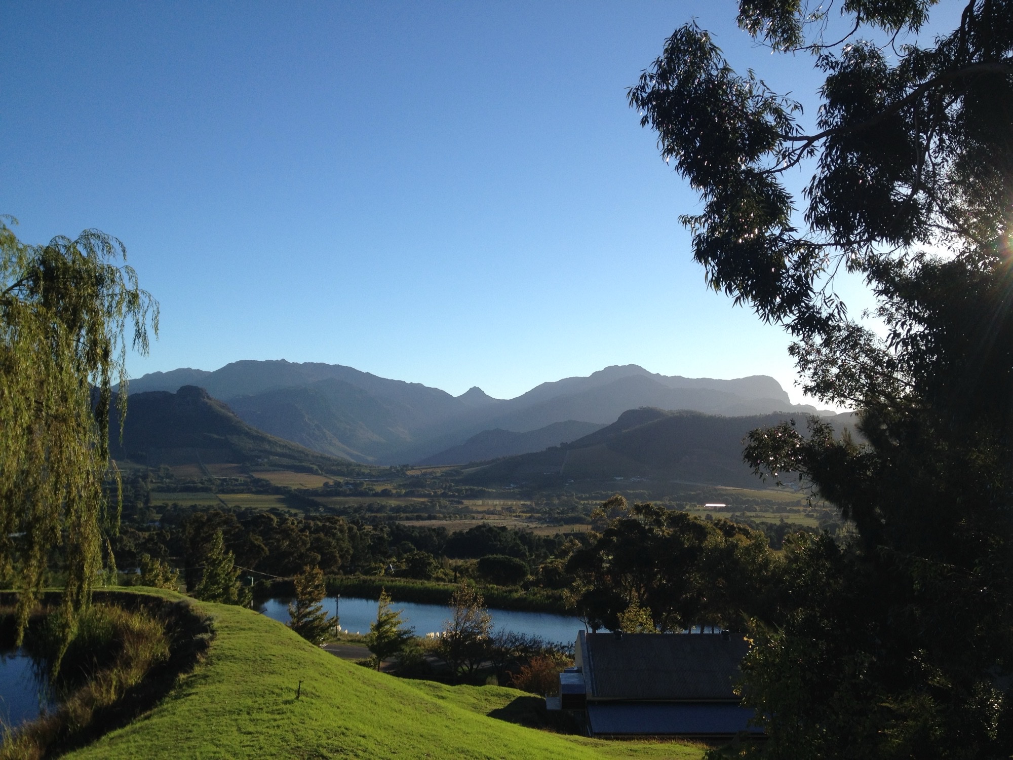 View over the Franschhoek valley from a hillside estate, with a dam, vineyards and the mountains closing the valley in evening light
