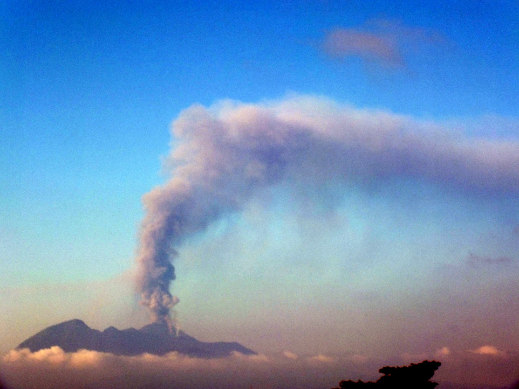 A tall grey ash plume rising from the summit of Volcan Pacaya and drifting sideways under a blue sky