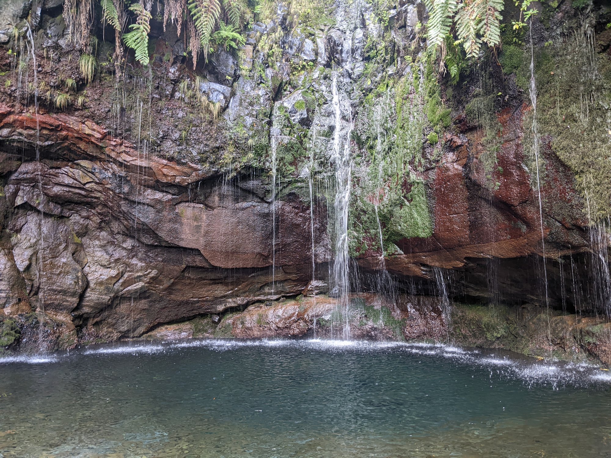 Thin waterfalls streaming down a mossy rock wall into the clear pool at the end of the Levada das 25 Fontes