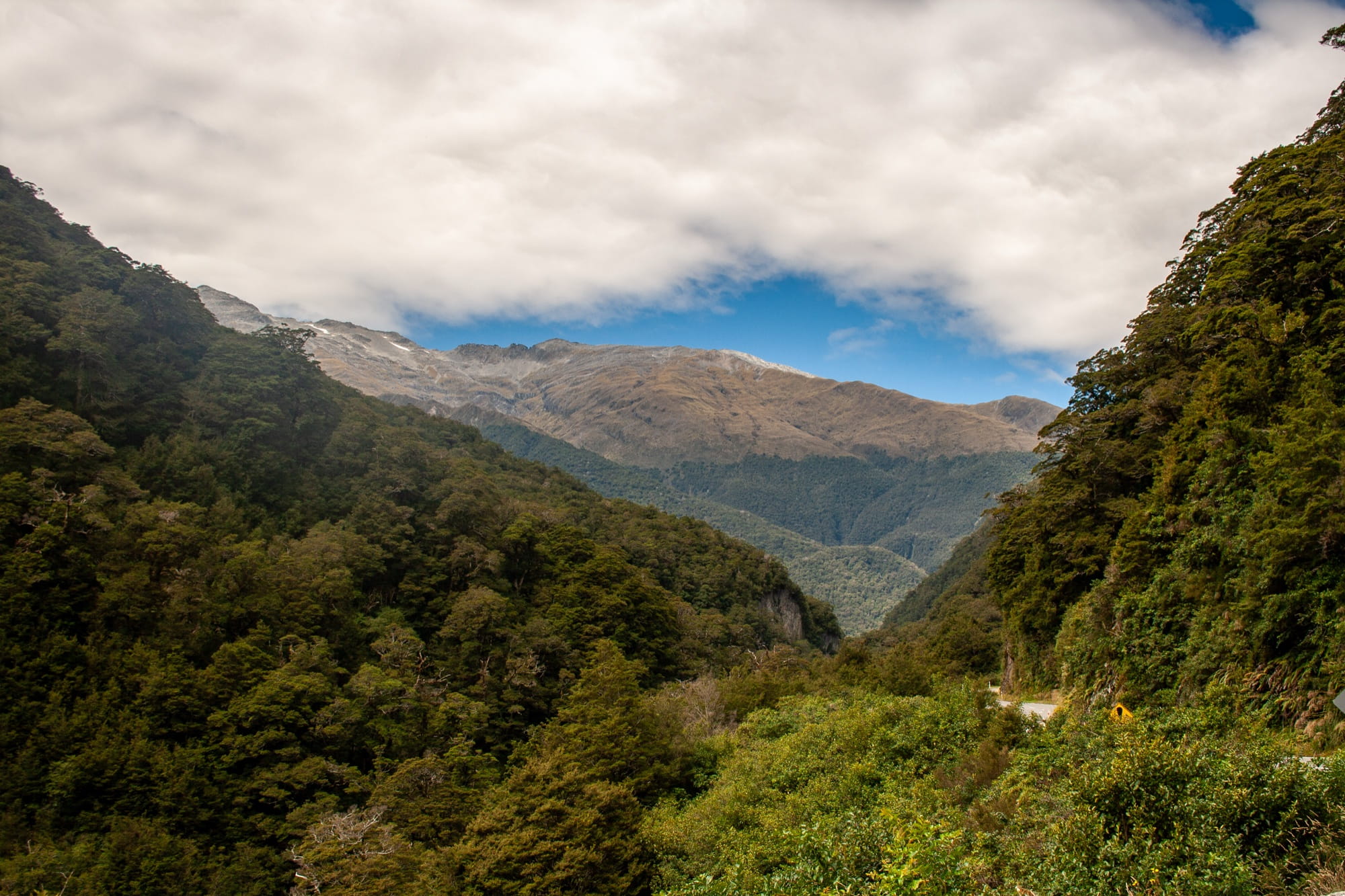 State Highway 6 winding through dense beech forest near the Haast Pass with bare mountain tops under cloud