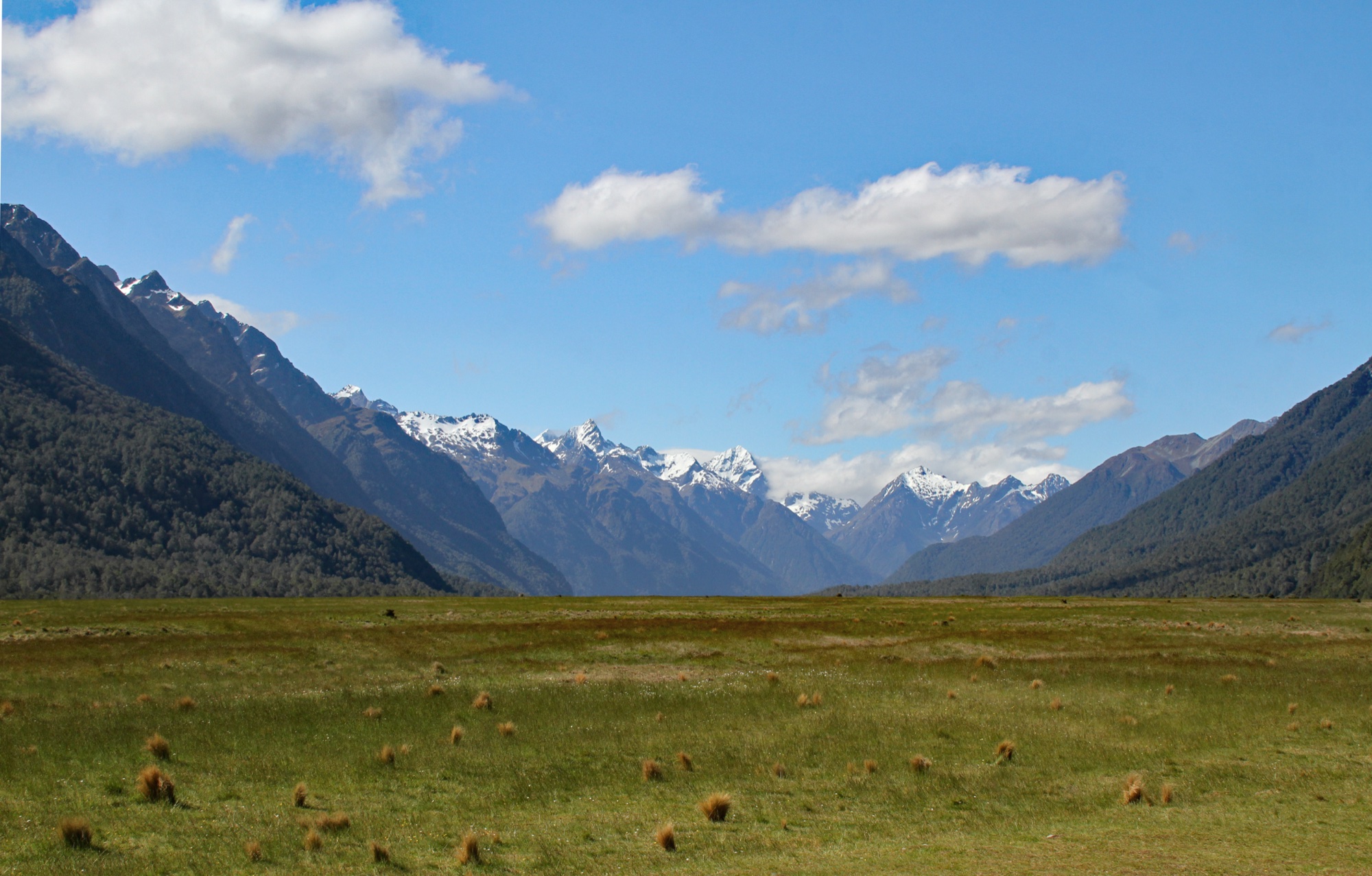 Wide tussock flat of the Eglinton Valley on the Milford Road with snow-capped peaks at the end of the valley and puffy clouds