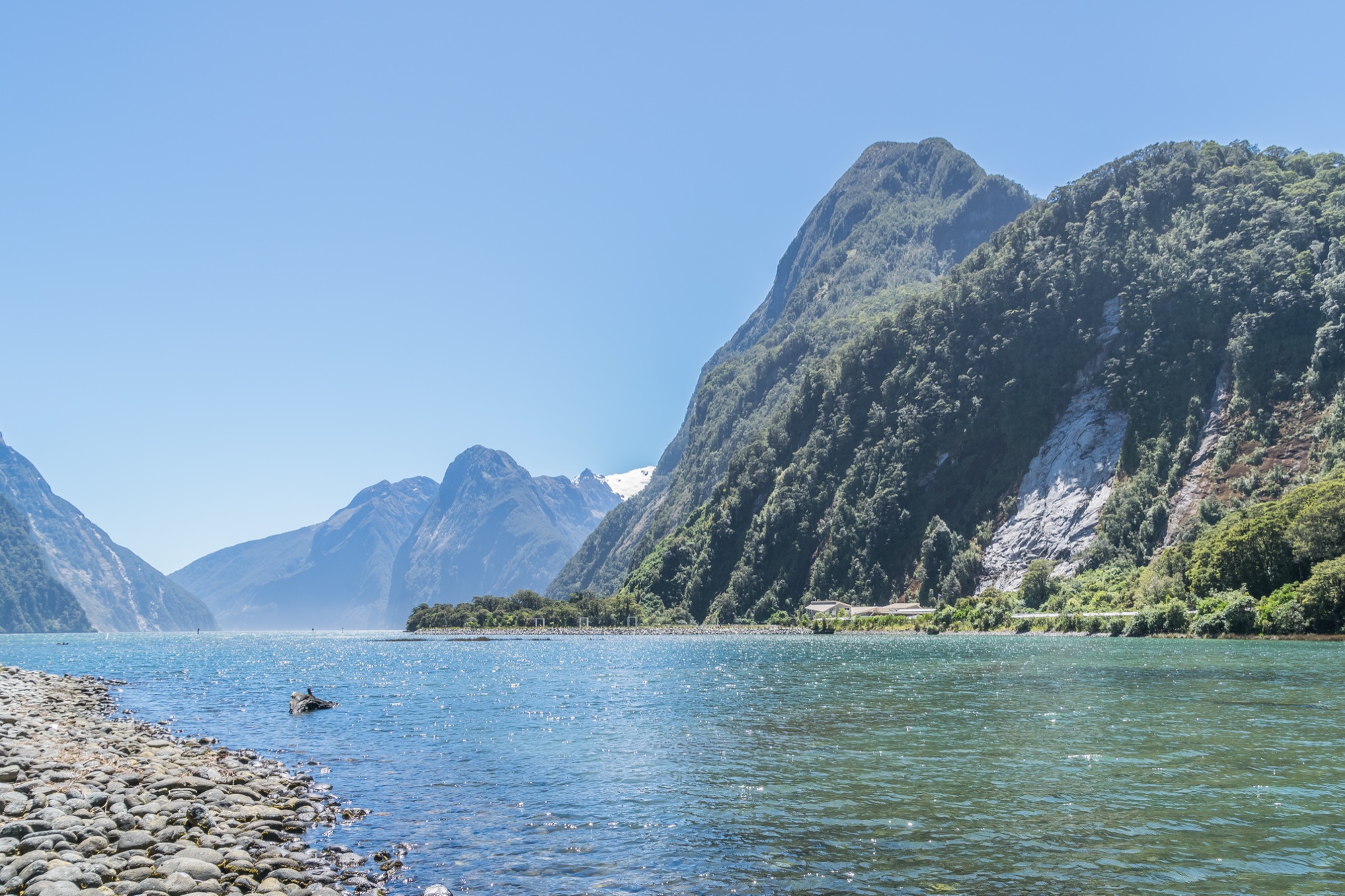 Milford Sound on a clear day with a pebble shore in the foreground, calm blue-green water and steep forested cliffs rising to a snow-capped peak