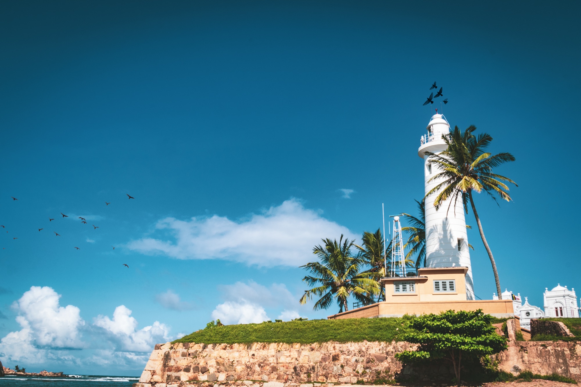 The white Galle Fort lighthouse and palm trees on the ramparts under a deep blue sky with birds overhead