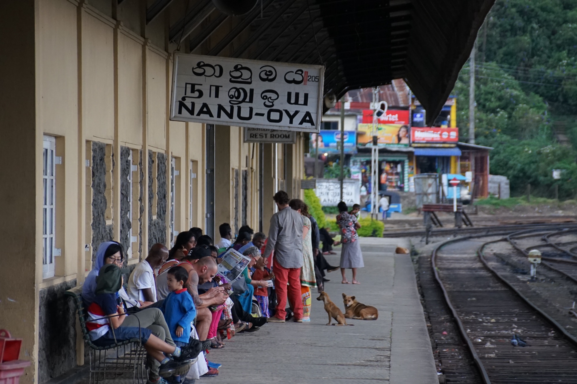 Travellers waiting on the platform at Nanu Oya station under the bilingual station sign, with the tracks curving away to the right