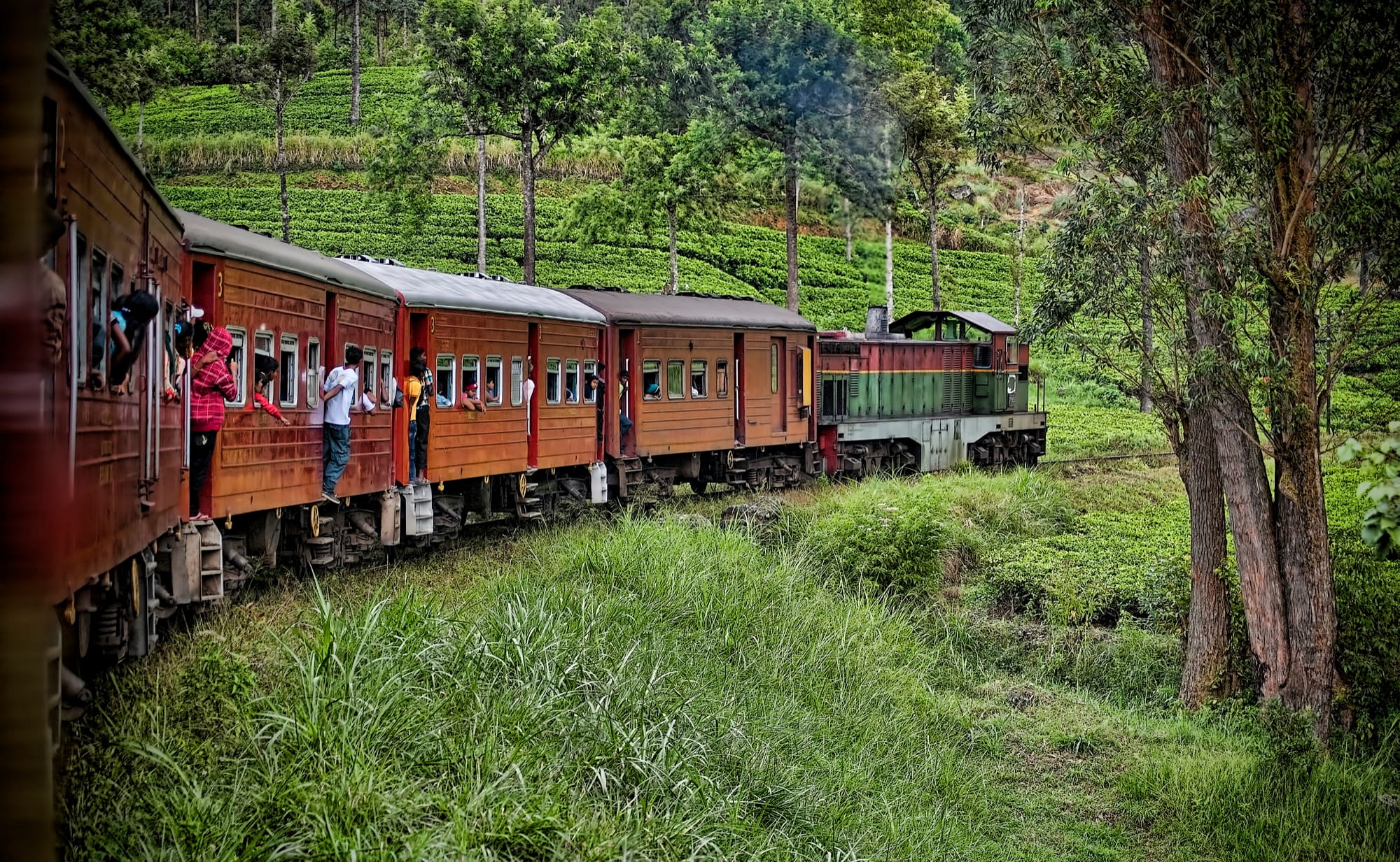 Passengers leaning from the open doors of orange-brown carriages as a train winds through tea fields on the line to Ella